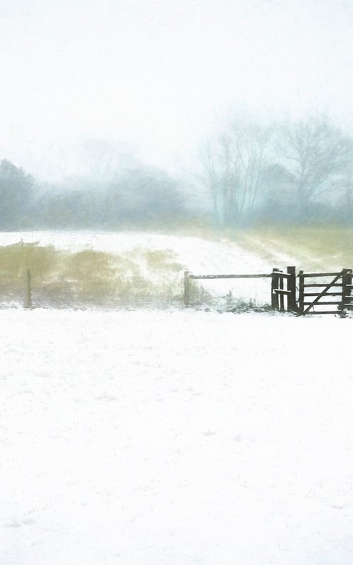 Snowy Gate by Martin  Fry