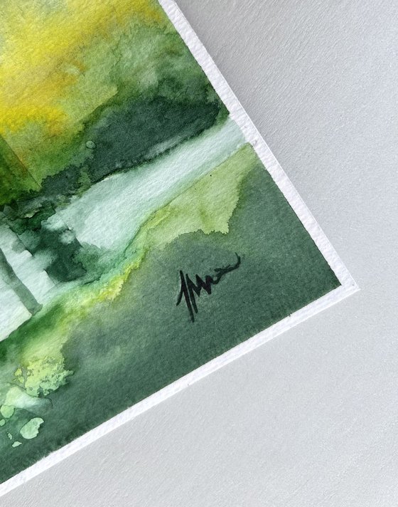 Serene Forest Landscape