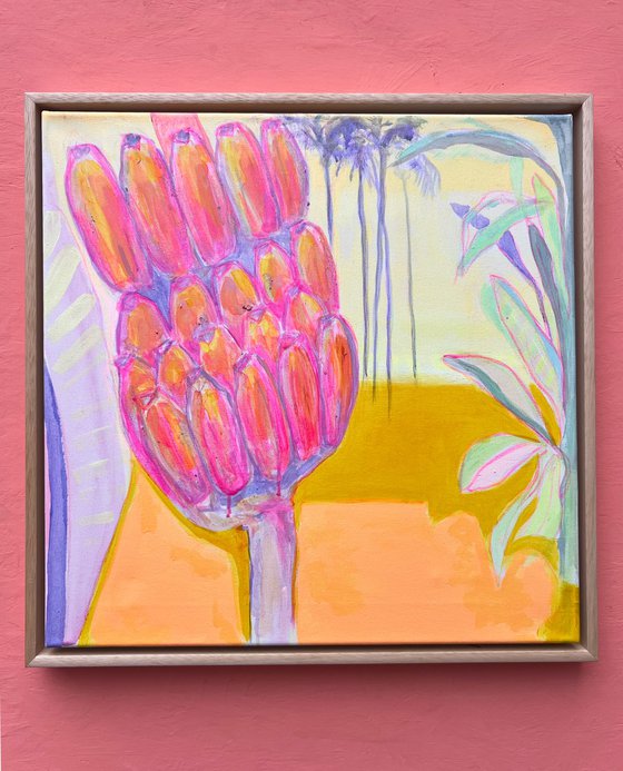 Pink Banana Sunset Study