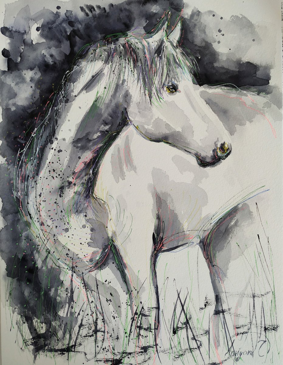 Horse -Original black and white watercolor painting by Antigoni Tziora