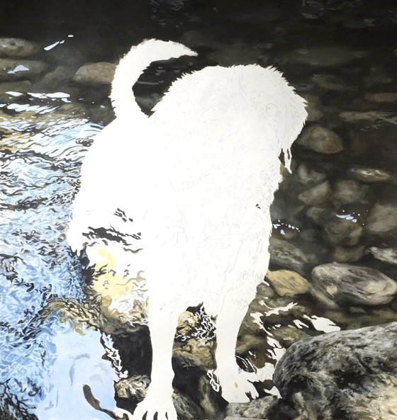 Throw it....Yellow Labrador