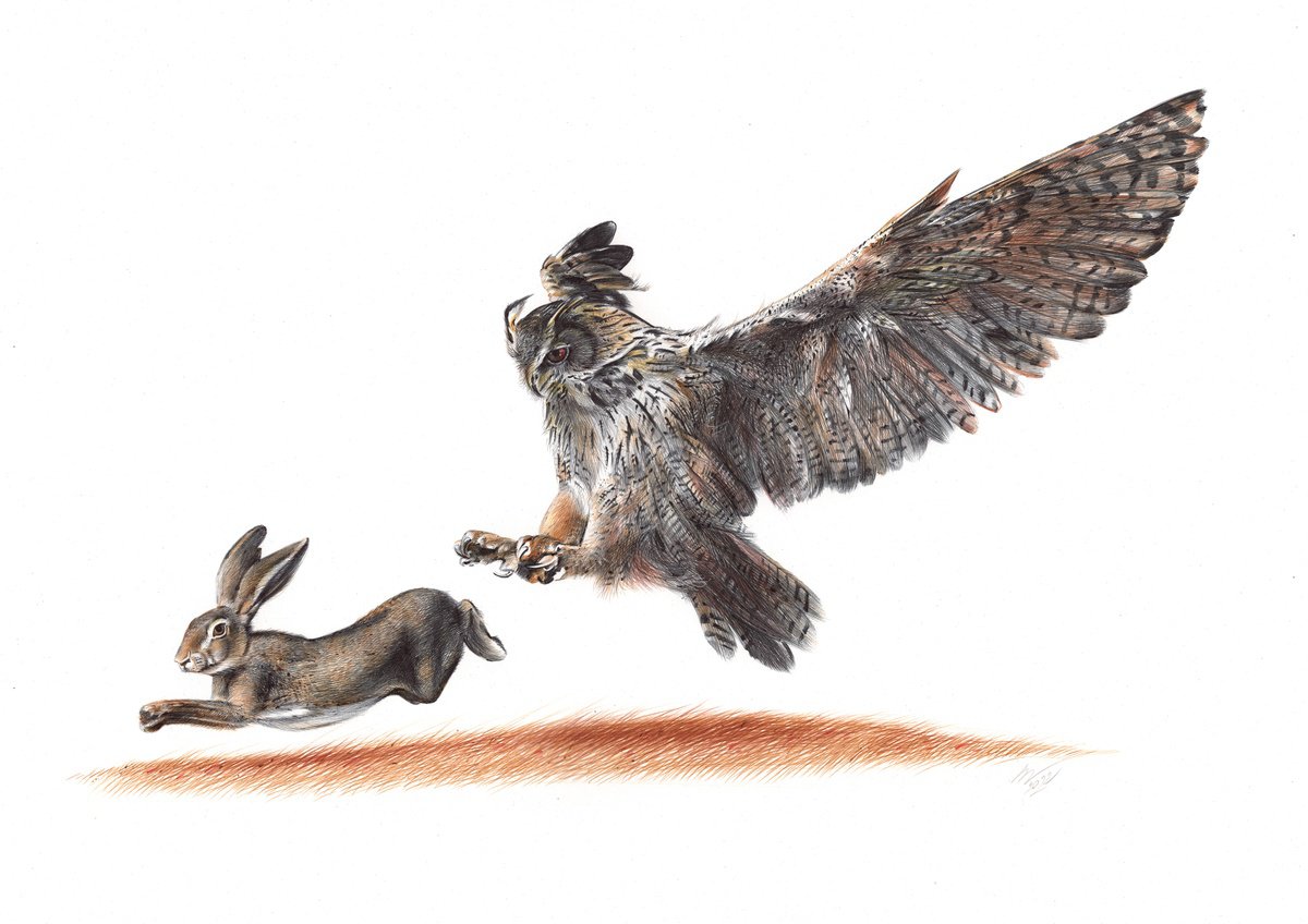 Eurasian Eagle-owl (Realistic Ballpoint Pen Bird Portrait) by Daria Maier