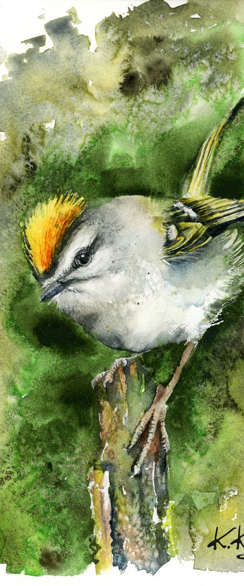 Firecrest, wildlife, birds watercolours by Karolina Kijak