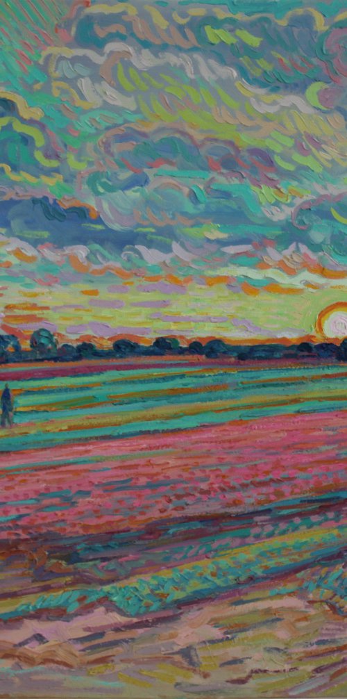 Tulip field sunset by Nigel Dickerson