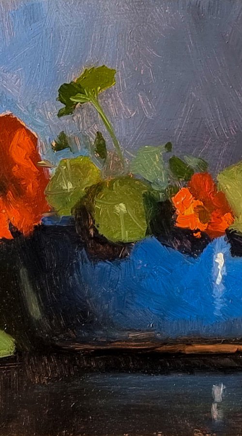 Nasturtiums by Pascal Giroud