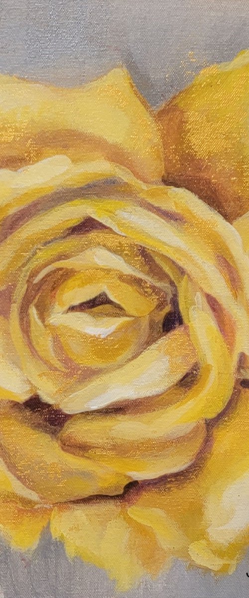 Yellow Rose II by Silvia  Vassileva