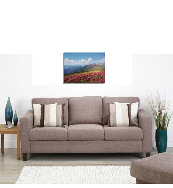 Spring in the mountains