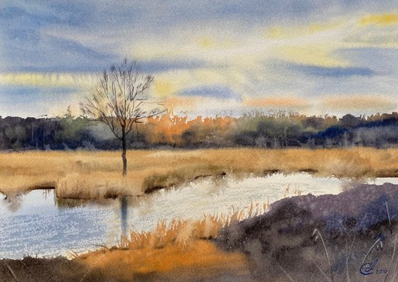 Autumn sun