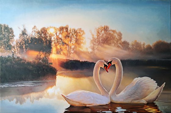 DAWN'S WHITE DUET