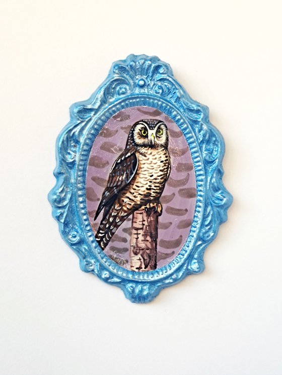 Northern hawk owl, part of framed animal miniature series "festum animalium"