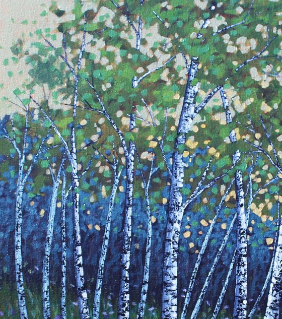 East Coast Birches