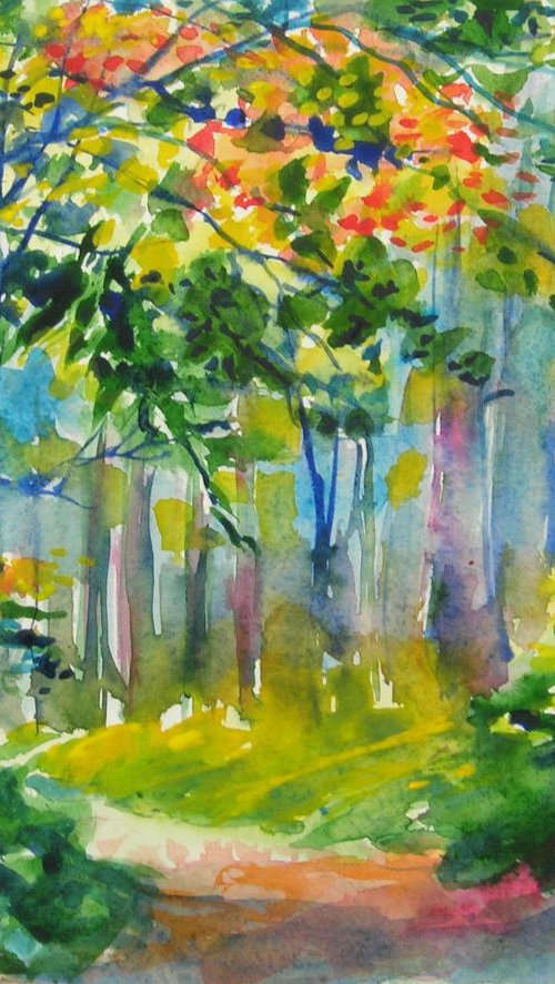 Into the misty woods by Maja Grecic