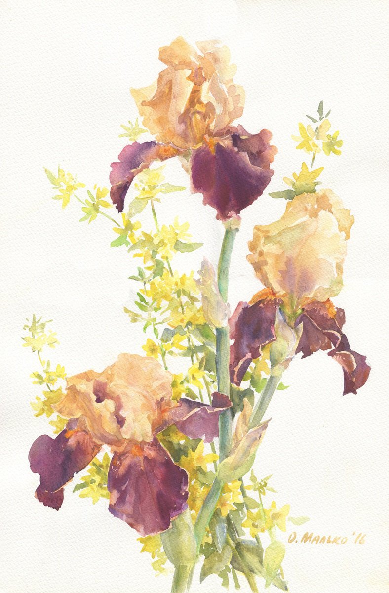 Impressionistic Botanical Watercolour By Olha Malko, 15 X 22", Purple Brown Irises, Original Artwork