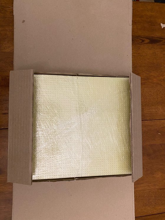 African Marabou stork, bird portrait