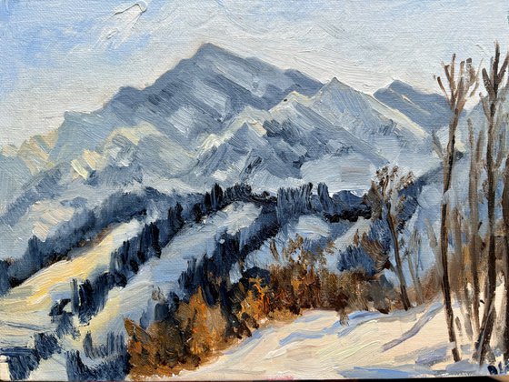 Sunny day in mountains