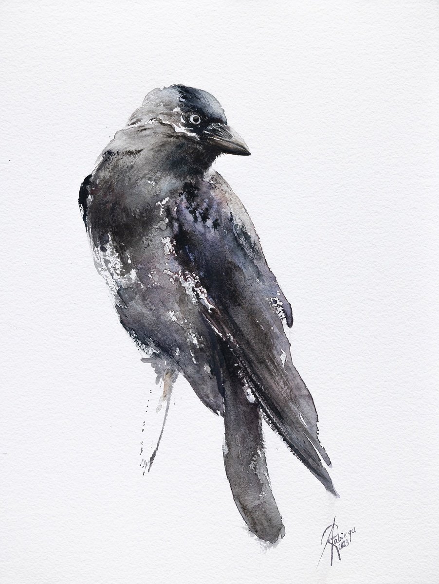 Animal Watercolour By Andrzej Rabiega, 12 X 16, Jackdaw, Original Artwork