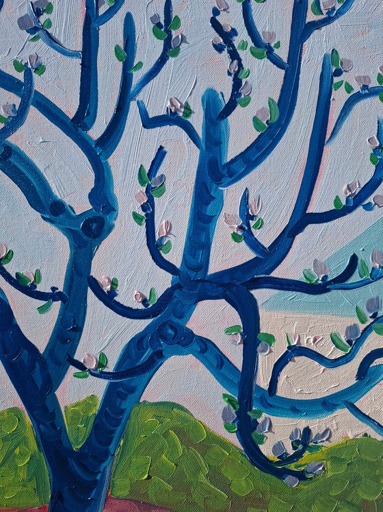 First Buds( Almond Blossom series)