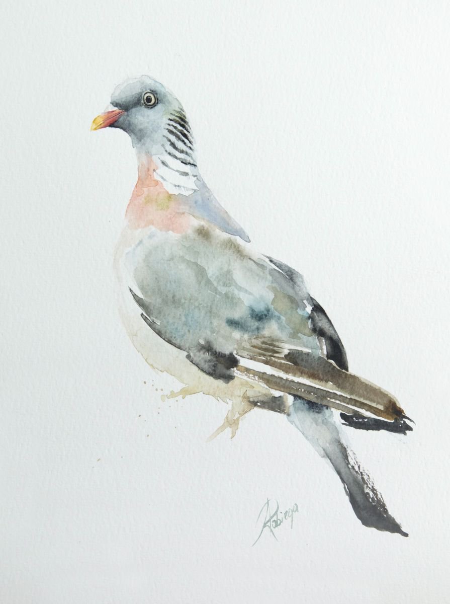 Illustrative Animal Watercolour By Andrzej Rabiega, 9 X 12, Wood Pigeon (Columba Palumbus), Original Artwork