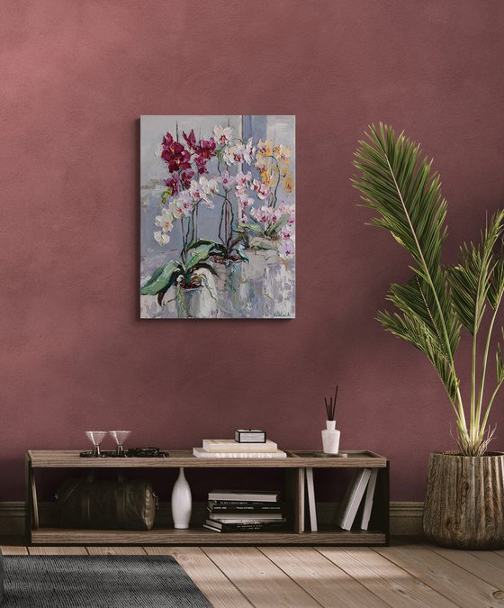 Blooming Colorful Orchids