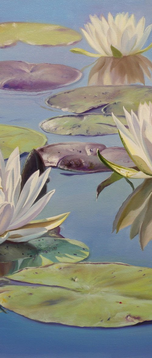Water lilies by Eduard Zhaldak