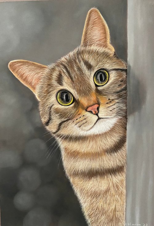 Cat by Maxine Taylor