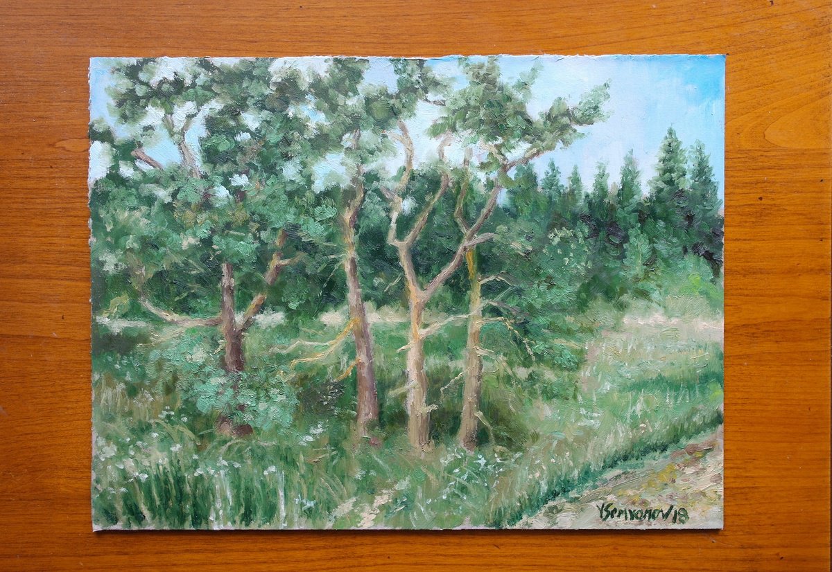 Impressionistic Landscape Oil Painting By Juri Semjonov, 16 X 12", Pine Trees, Original Artwork
