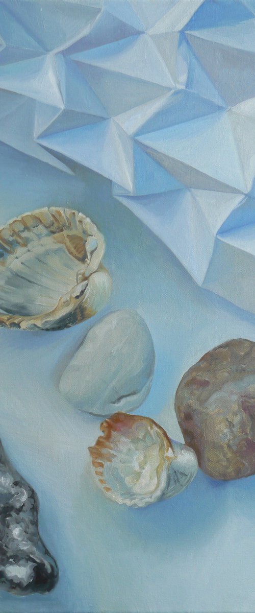 Shapes and Shells III by Anastasia Chernysheva
