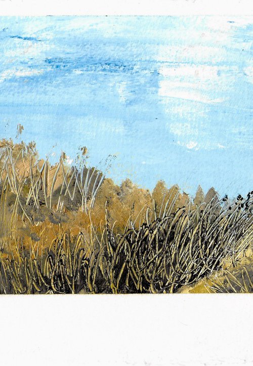 Landscape / Quiet Field III by Gozde Temiz Istanbul