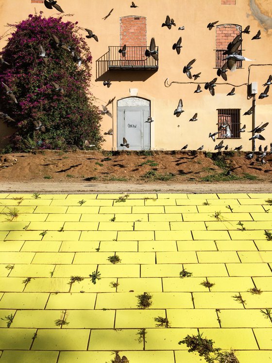 The Birds