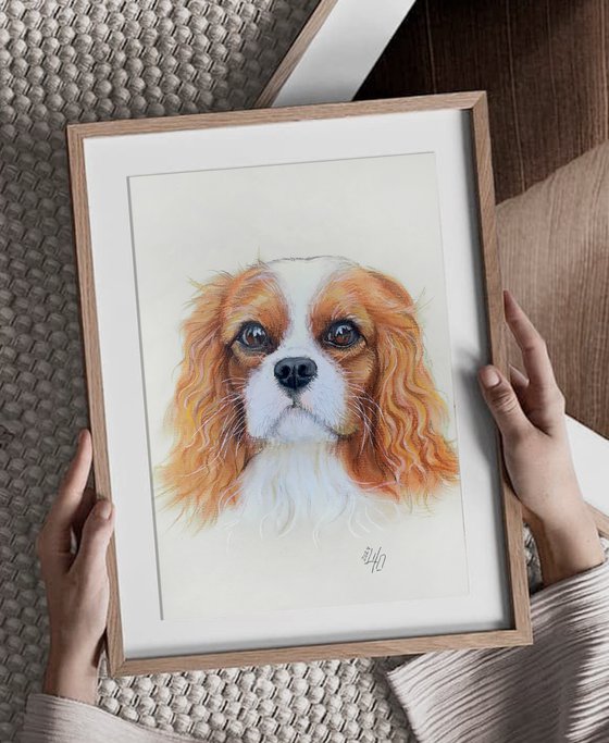 Gentle Cavalier King Charles Spaniel Portrait