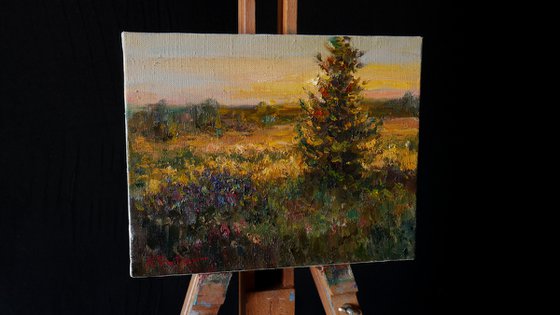 At sunset - sunny landscape painting