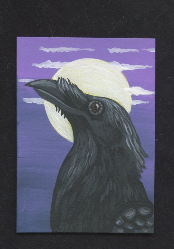 ACEO ATC Original Miniature Painting Crow Raven Bird Wildlife Art-Carla Smale