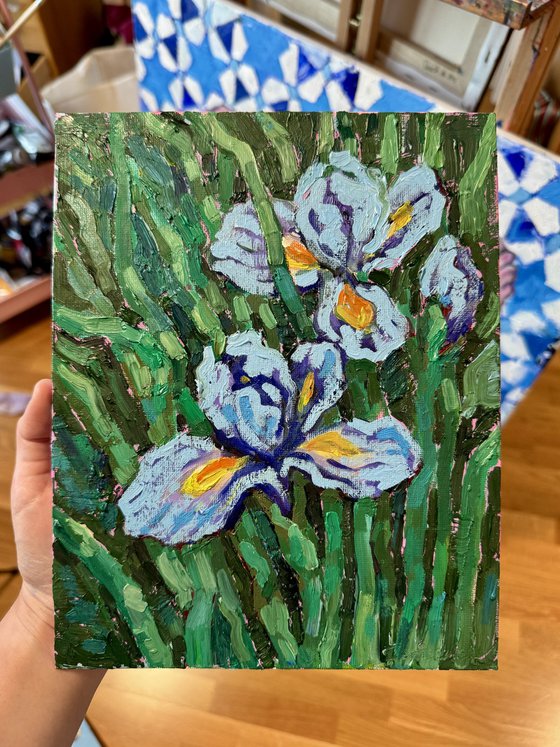 Iris