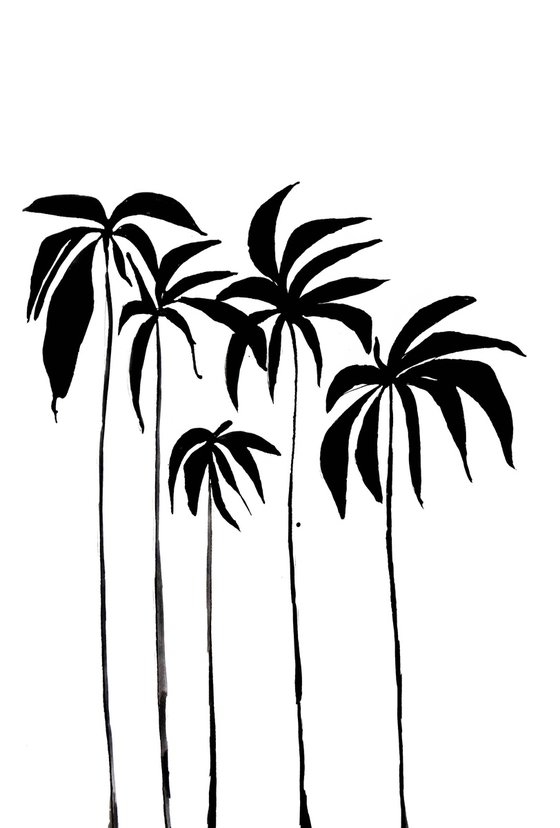 Palms