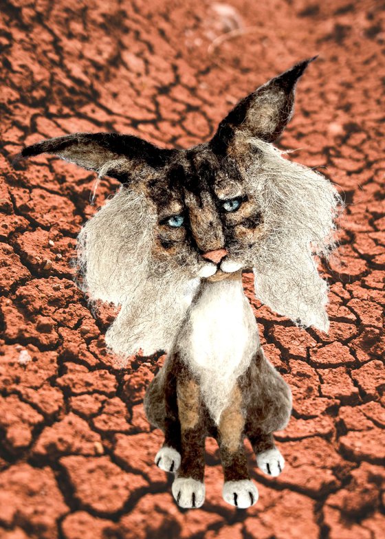 Cat Bokmäl, felted wool