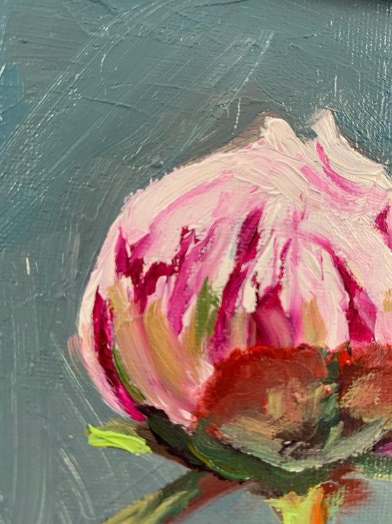 Peony. Flowers.