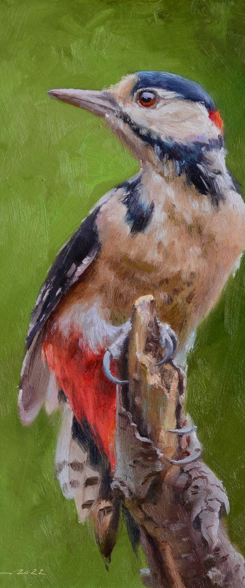 Woodpecker by Ruslan Kiprych