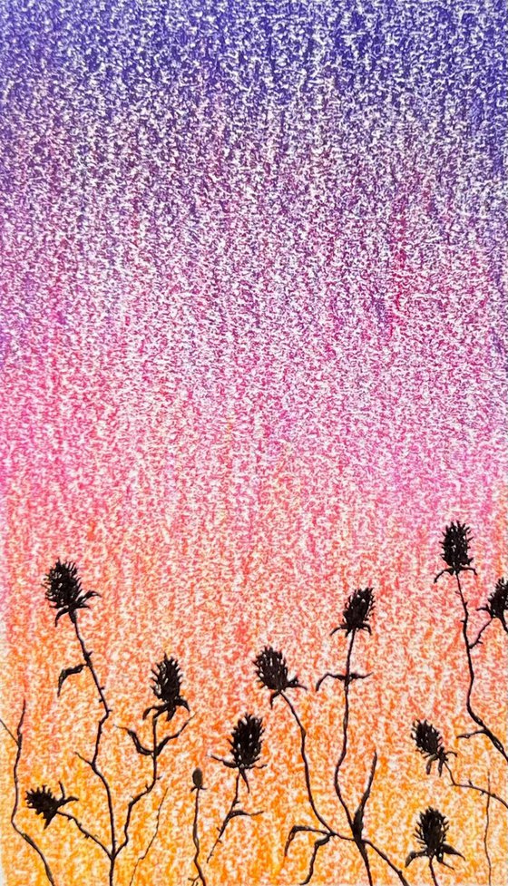 Dried flowers against the backdrop of sunset. Miniature of flowers, silhouettes of flowers at sunset. Original artwork.