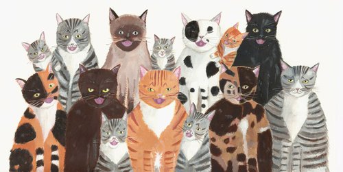 Cat's Chorus by Mary Stubberfield