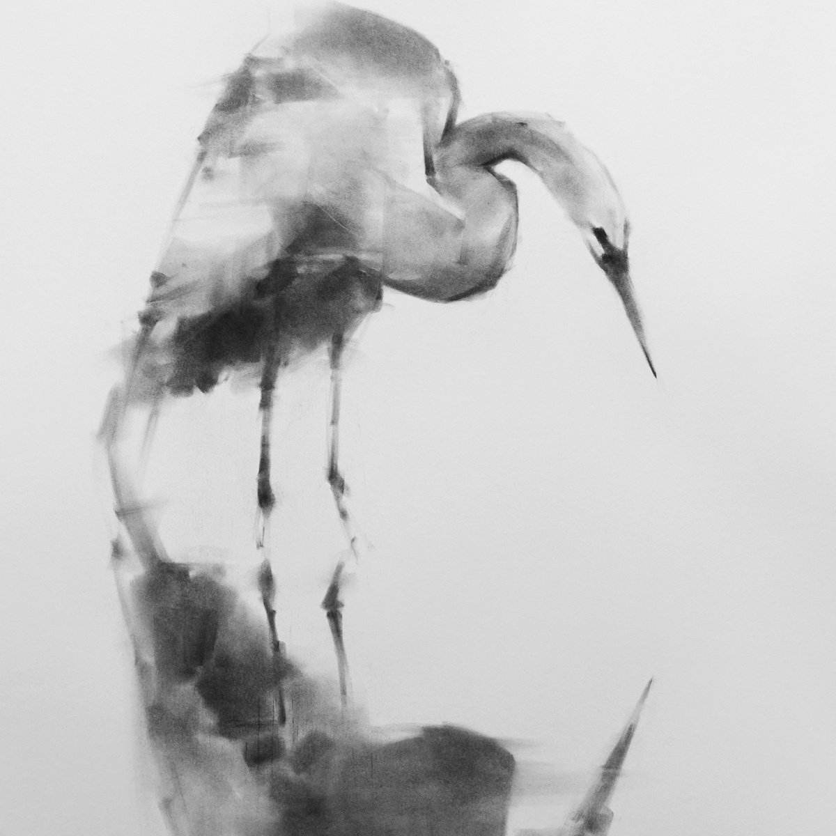 Egret 01 by Tianyin Wang