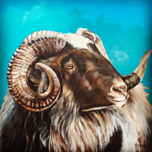 Jacob's Sheep by Geraldo Braga