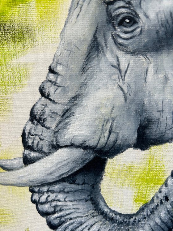 Elephant Green