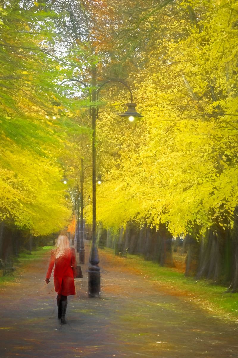 Autumn Girl (44361) by Martin Fry