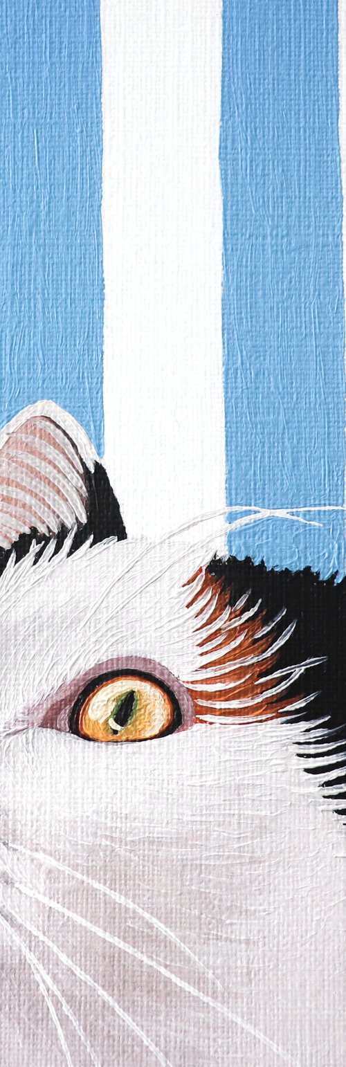 CAT SEE YOU 13 by Milie Lairie