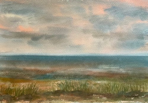 The grasses on the beach by Samantha Adams