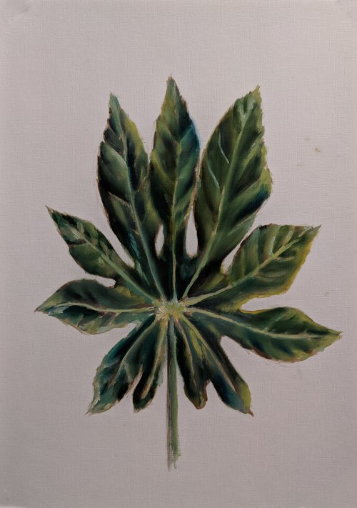 Fig Leaf: Original Oil Painting Original oil painting of the green fig leaf on the white background Painting by Anna Brazhnikova by Anna Brazhnikova