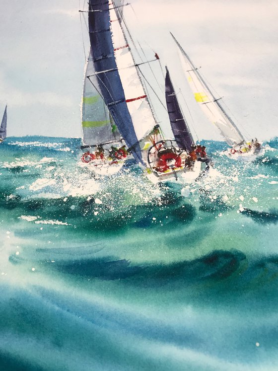 Regatta