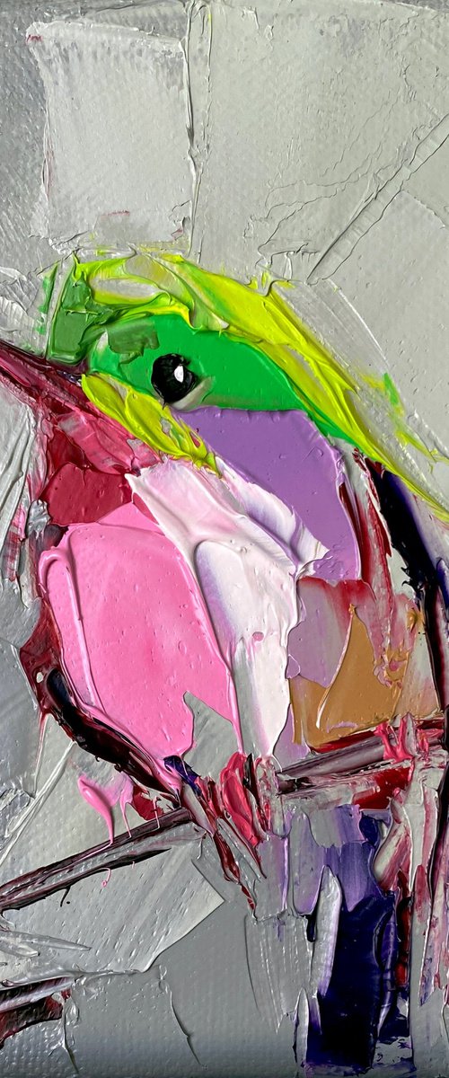 Pink robin by Lana Frey