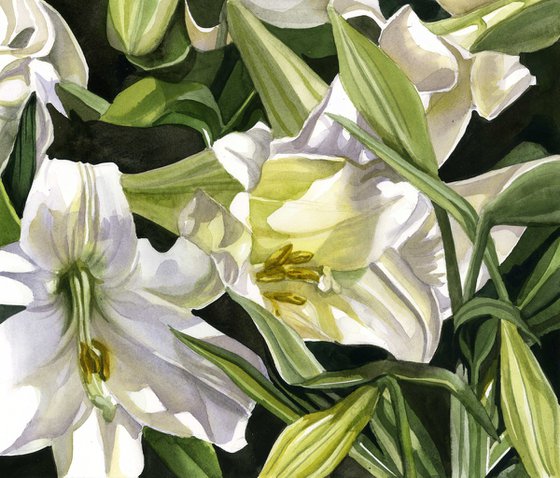 easter lilies watercolor floral