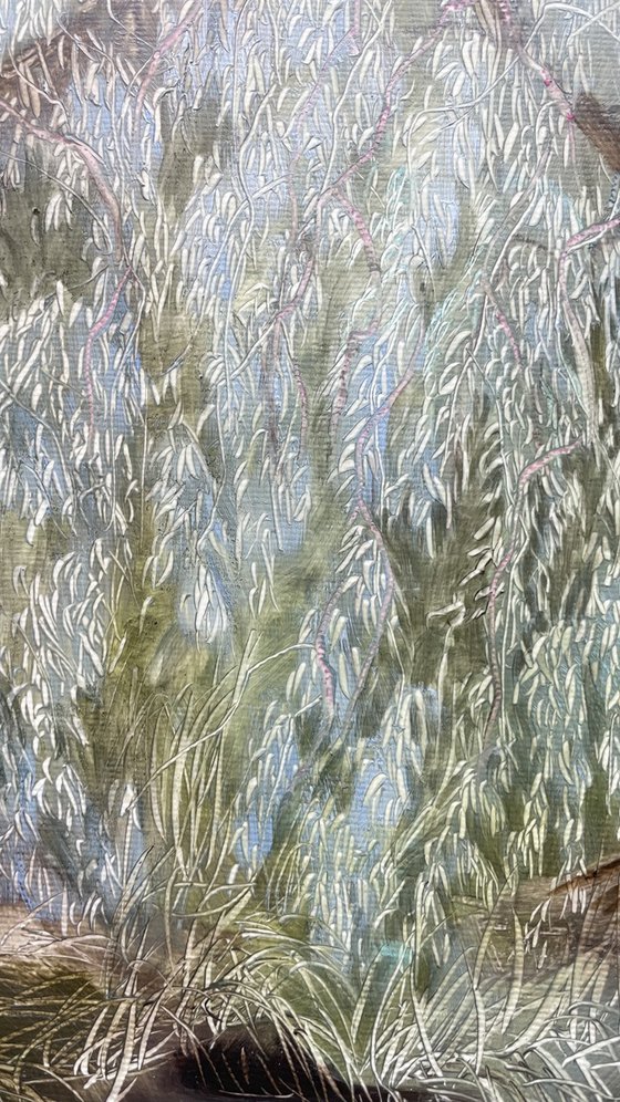 Old Willows by the River